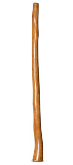 Gloss Finish Flared Didgeridoo (TW937)